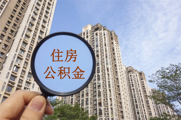 禹州公积金当天取出（公积金当天取当天能到账吗）